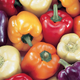 Burpee Carnival Mix Hybrid Organic Sweet Pepper Seeds, 100 seeds | $8 | Amazon